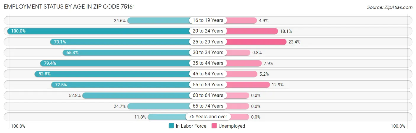 Employment Status by Age in Zip Code 75161