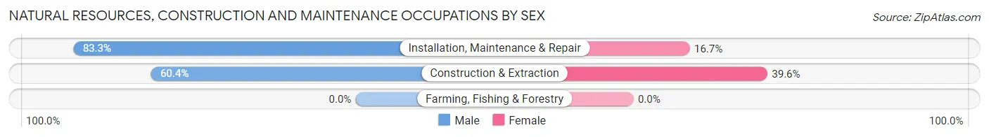 Natural Resources, Construction and Maintenance Occupations by Sex in Zip Code 75205