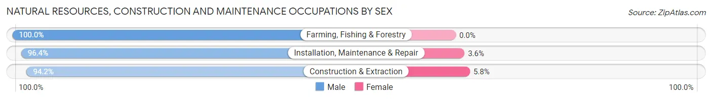 Natural Resources, Construction and Maintenance Occupations by Sex in Zip Code 75228