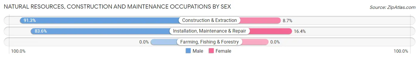 Natural Resources, Construction and Maintenance Occupations by Sex in Zip Code 75243