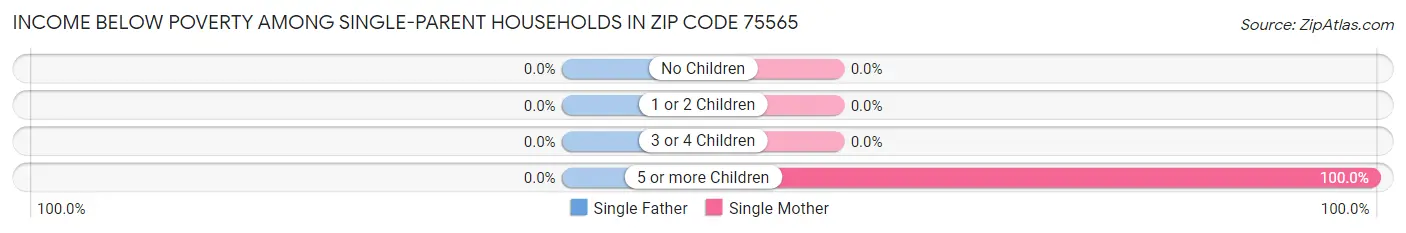 Income Below Poverty Among Single-Parent Households in Zip Code 75565