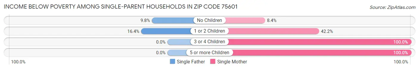 Income Below Poverty Among Single-Parent Households in Zip Code 75601