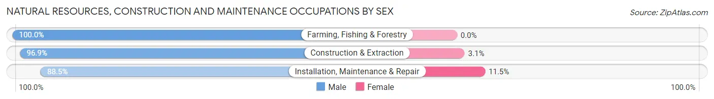 Natural Resources, Construction and Maintenance Occupations by Sex in Zip Code 75657