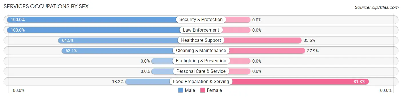 Services Occupations by Sex in Zip Code 75937