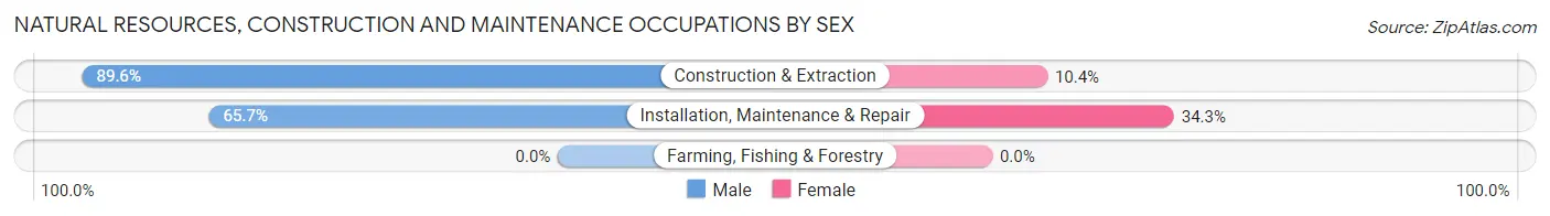 Natural Resources, Construction and Maintenance Occupations by Sex in Zip Code 76006