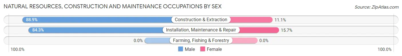 Natural Resources, Construction and Maintenance Occupations by Sex in Zip Code 76022