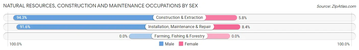 Natural Resources, Construction and Maintenance Occupations by Sex in Zip Code 76040