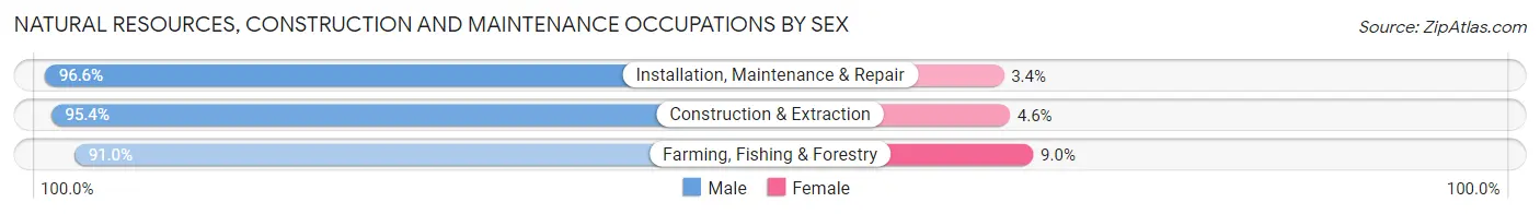 Natural Resources, Construction and Maintenance Occupations by Sex in Zip Code 76063