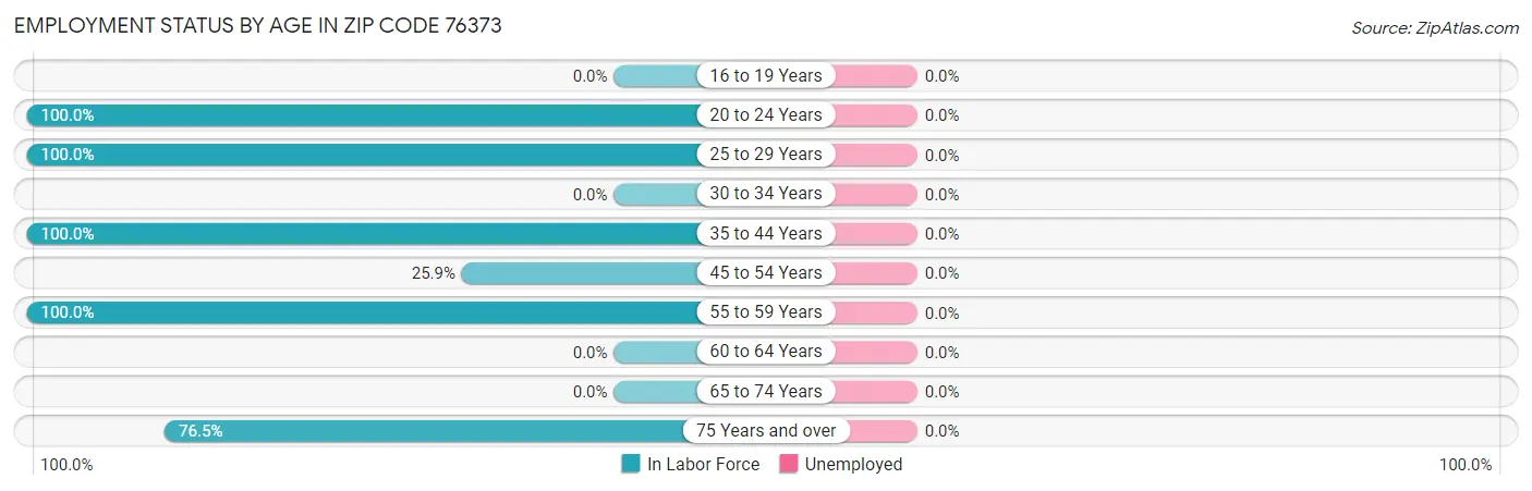 Employment Status by Age in Zip Code 76373