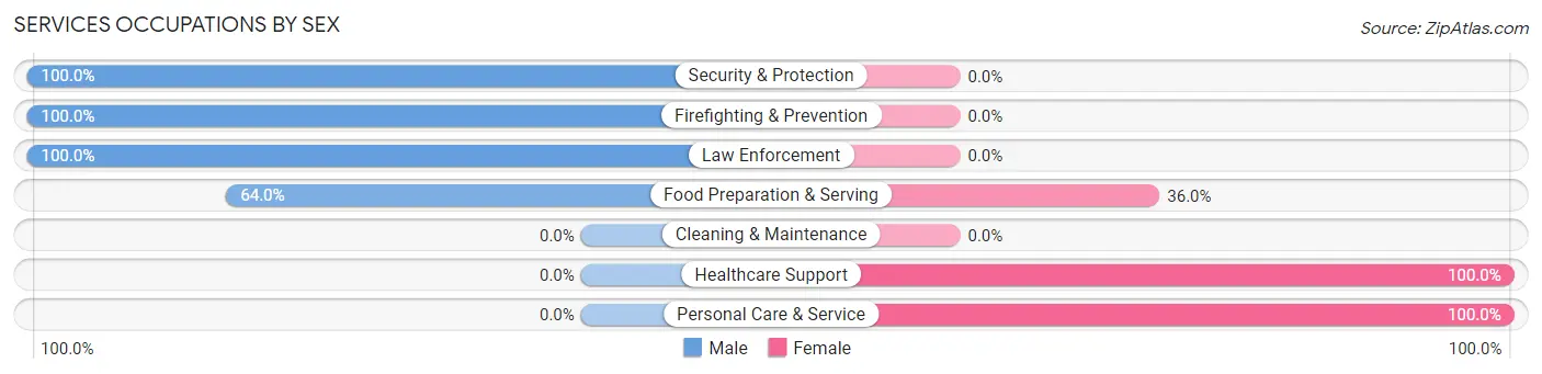 Services Occupations by Sex in Zip Code 76538