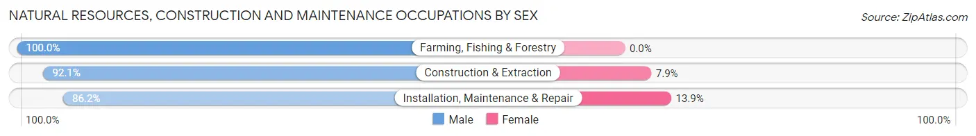 Natural Resources, Construction and Maintenance Occupations by Sex in Zip Code 76706