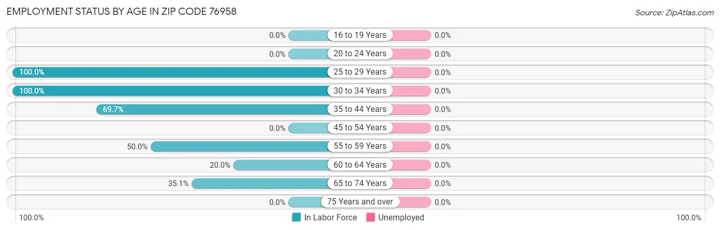 Employment Status by Age in Zip Code 76958