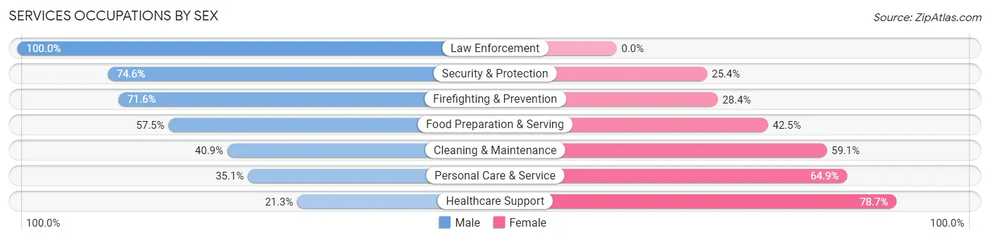Services Occupations by Sex in Zip Code 77063