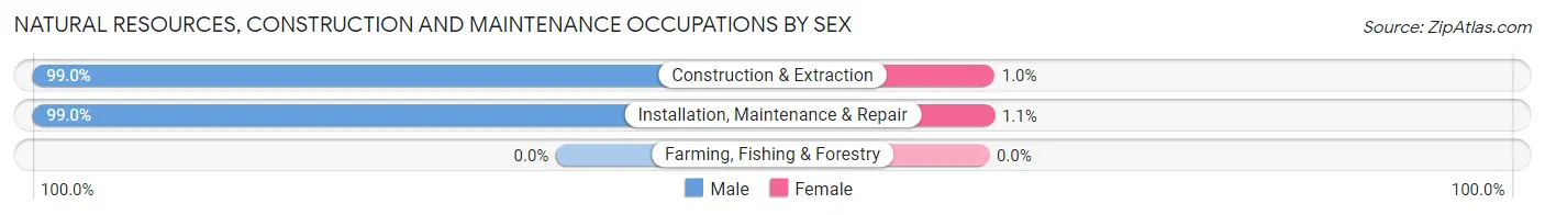 Natural Resources, Construction and Maintenance Occupations by Sex in Zip Code 77665