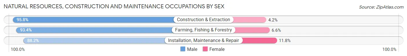 Natural Resources, Construction and Maintenance Occupations by Sex in Zip Code 77833