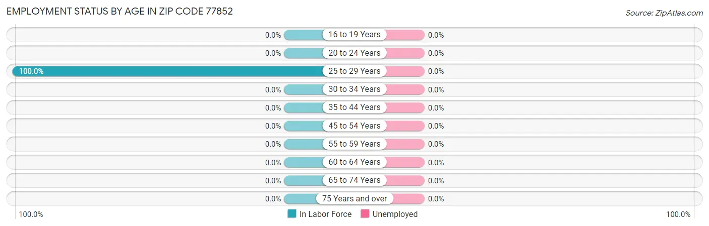Employment Status by Age in Zip Code 77852