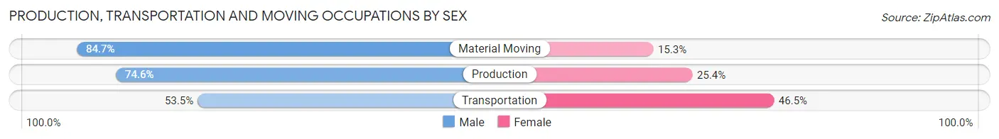 Production, Transportation and Moving Occupations by Sex in Zip Code 77859