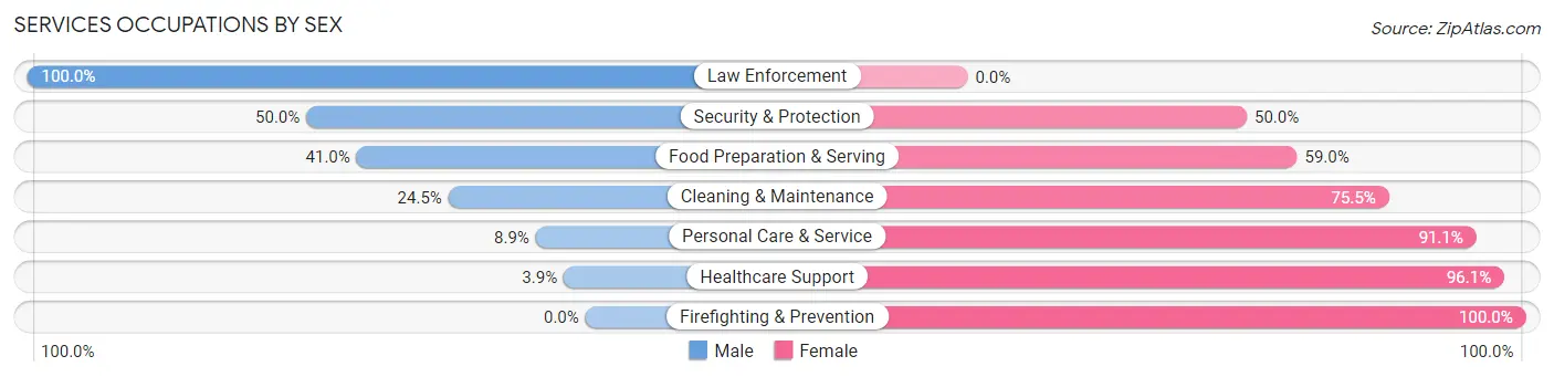 Services Occupations by Sex in Zip Code 78003