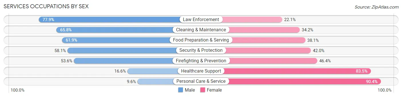 Services Occupations by Sex in Zip Code 78028