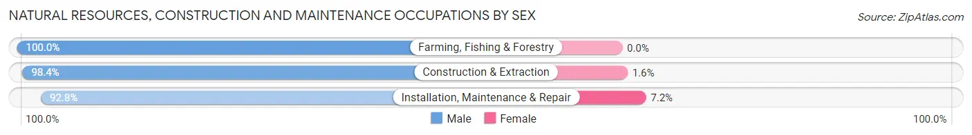 Natural Resources, Construction and Maintenance Occupations by Sex in Zip Code 78217