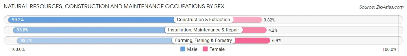 Natural Resources, Construction and Maintenance Occupations by Sex in Zip Code 78220