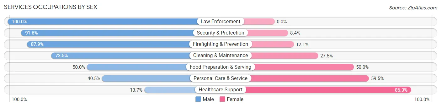 Services Occupations by Sex in Zip Code 78229