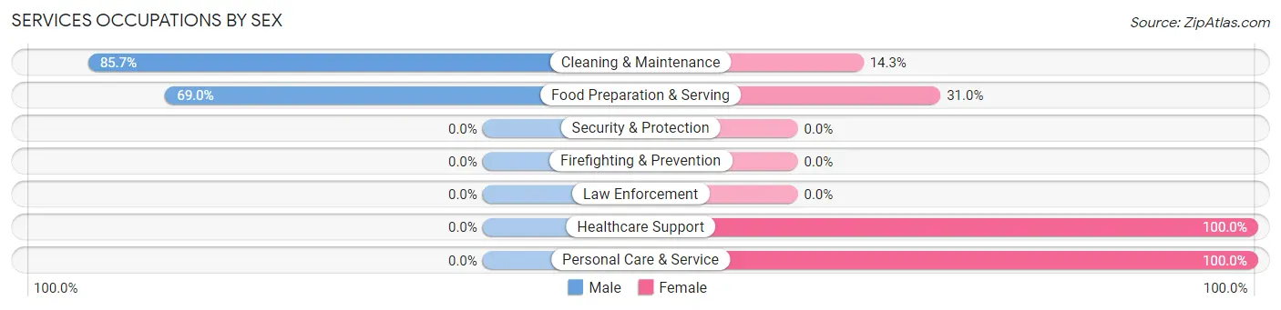 Services Occupations by Sex in Zip Code 78234