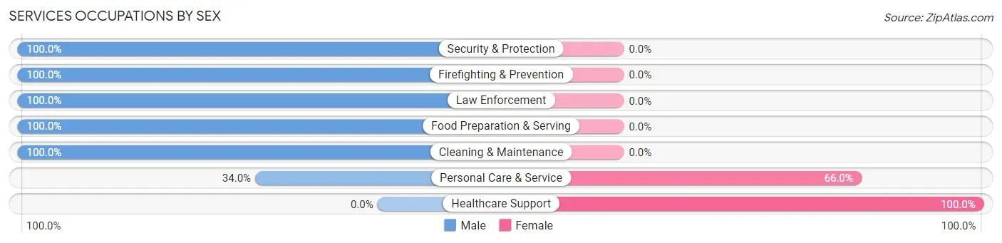 Services Occupations by Sex in Zip Code 78257