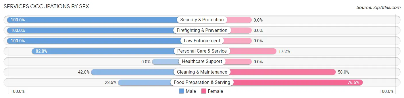 Services Occupations by Sex in Zip Code 78263
