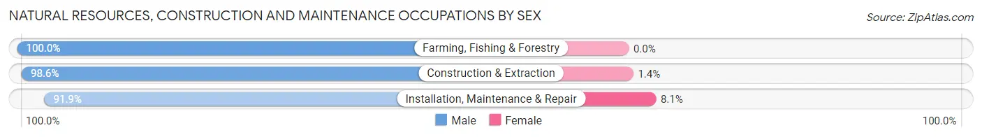 Natural Resources, Construction and Maintenance Occupations by Sex in Zip Code 78415
