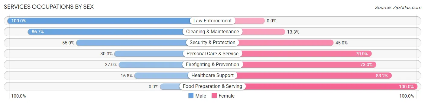 Services Occupations by Sex in Zip Code 78583