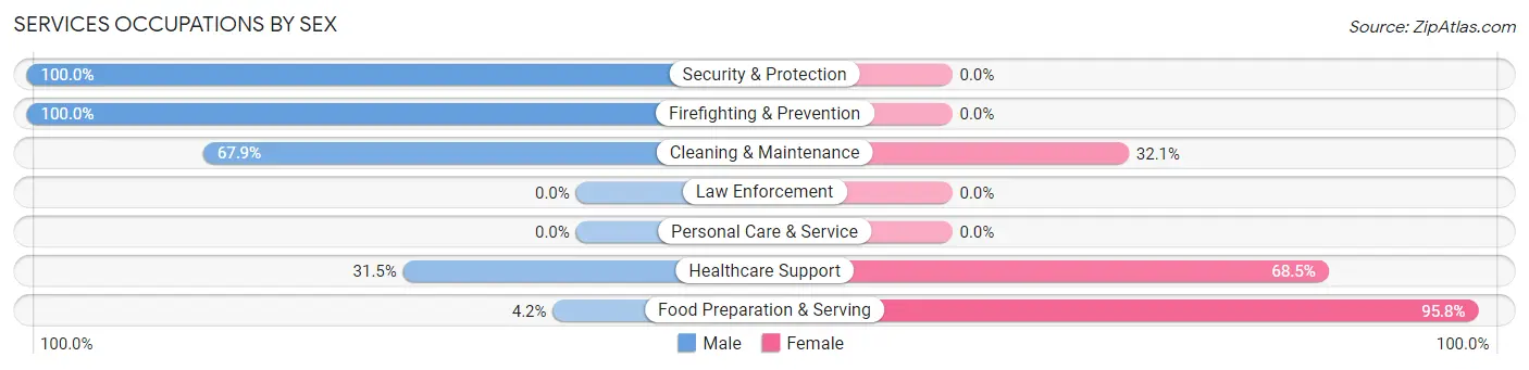 Services Occupations by Sex in Zip Code 78595