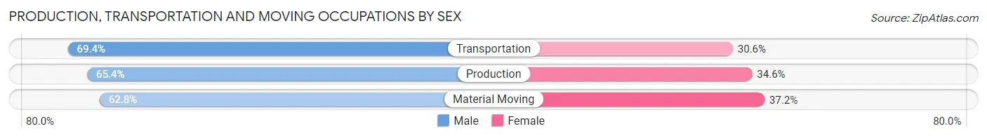 Production, Transportation and Moving Occupations by Sex in Zip Code 78613