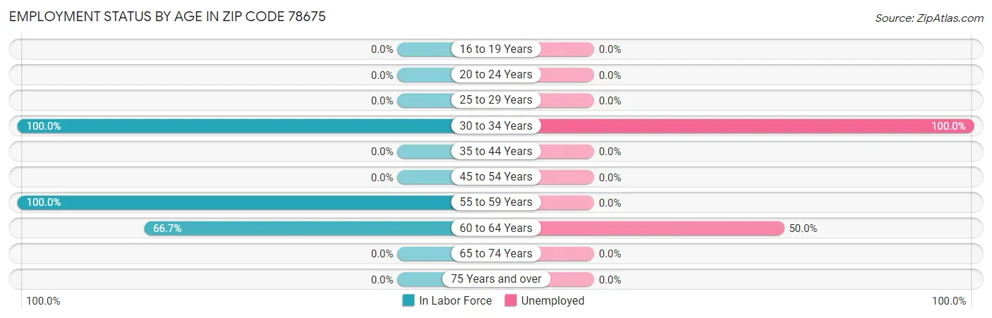 Employment Status by Age in Zip Code 78675