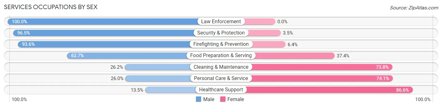 Services Occupations by Sex in Zip Code 78724