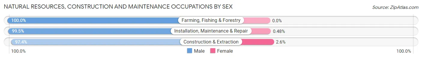 Natural Resources, Construction and Maintenance Occupations by Sex in Zip Code 78741