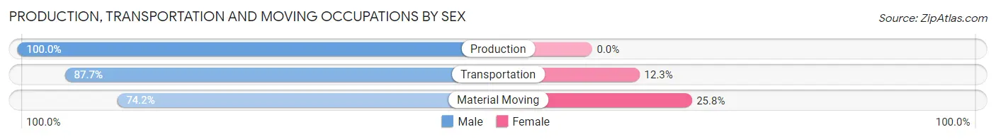 Production, Transportation and Moving Occupations by Sex in Zip Code 78934