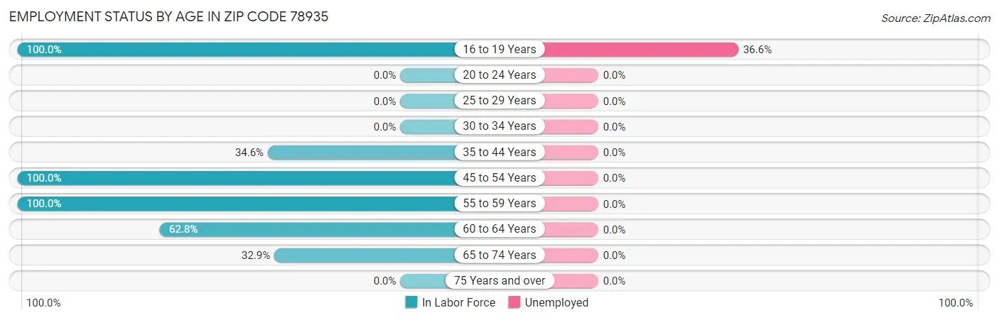 Employment Status by Age in Zip Code 78935