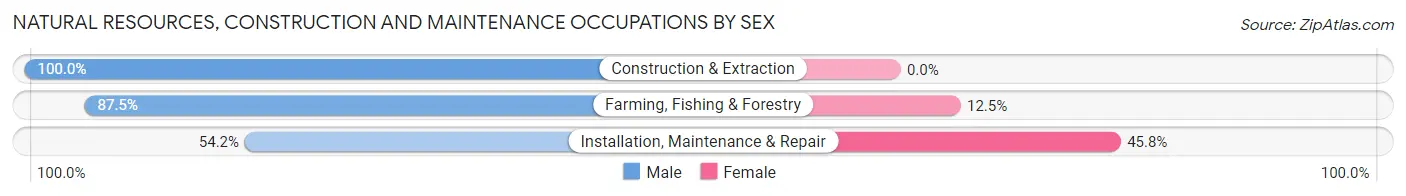 Natural Resources, Construction and Maintenance Occupations by Sex in Zip Code 79040