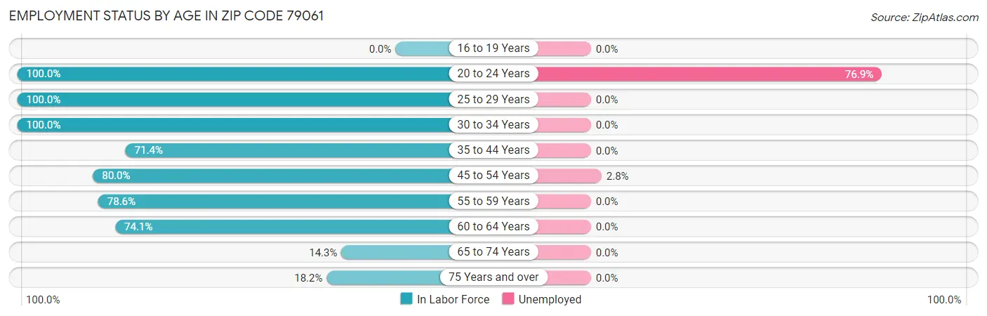 Employment Status by Age in Zip Code 79061