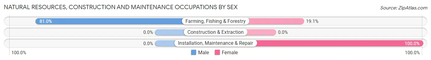 Natural Resources, Construction and Maintenance Occupations by Sex in Zip Code 79240