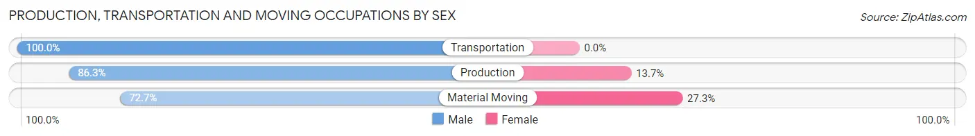 Production, Transportation and Moving Occupations by Sex in Zip Code 79313