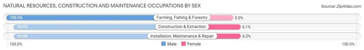 Natural Resources, Construction and Maintenance Occupations by Sex in Zip Code 79602