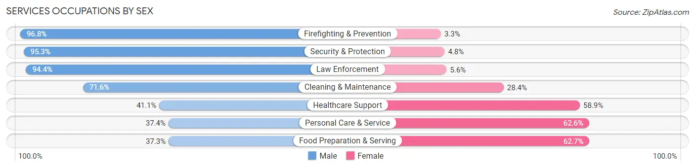 Services Occupations by Sex in Zip Code 79602