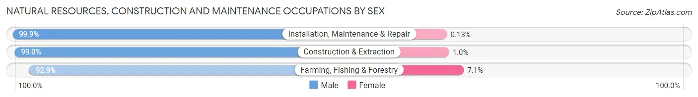Natural Resources, Construction and Maintenance Occupations by Sex in Zip Code 79720
