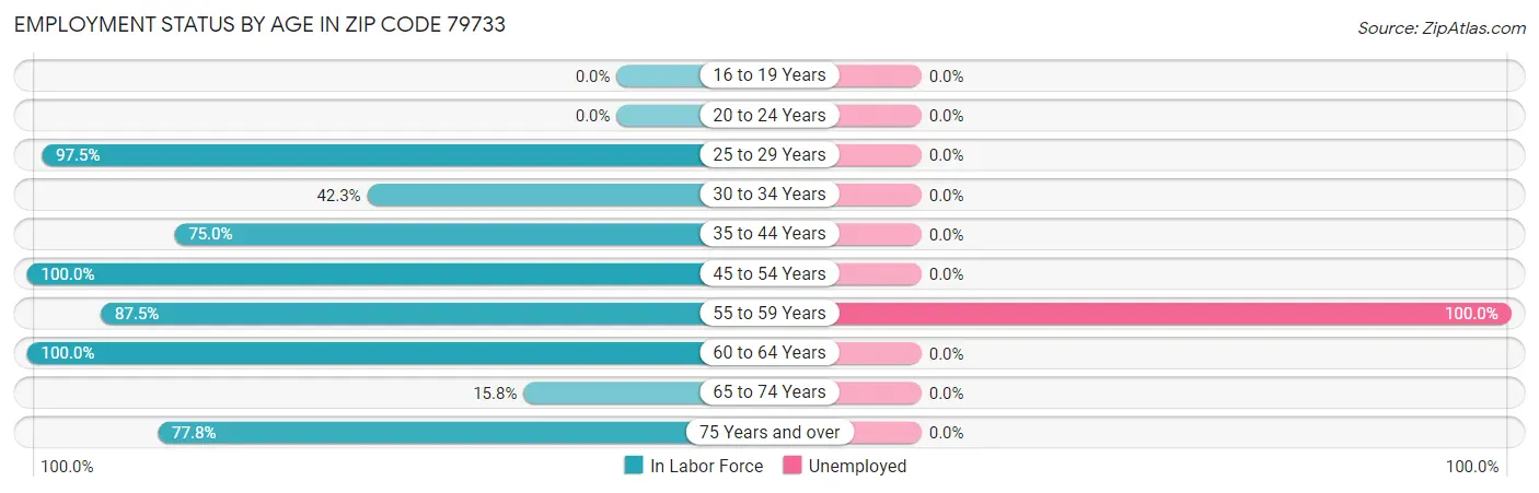 Employment Status by Age in Zip Code 79733