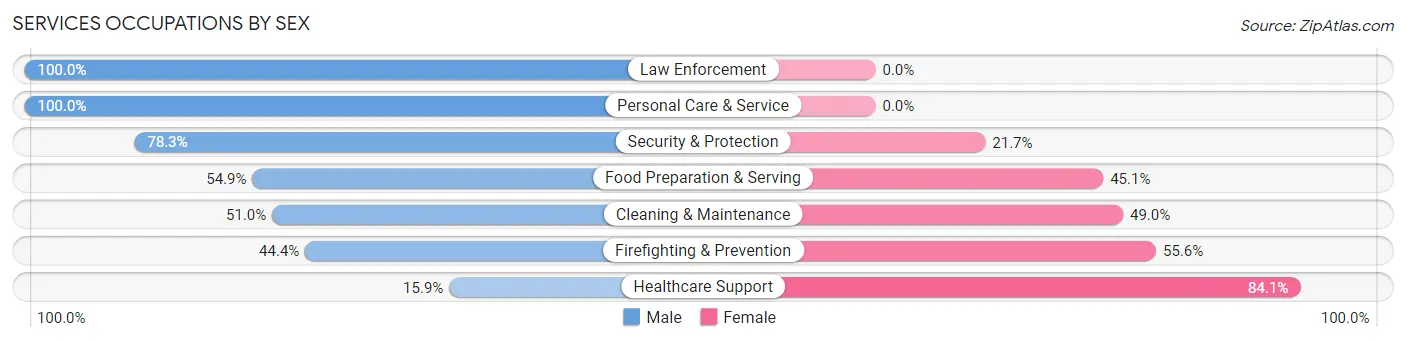 Services Occupations by Sex in Zip Code 79901