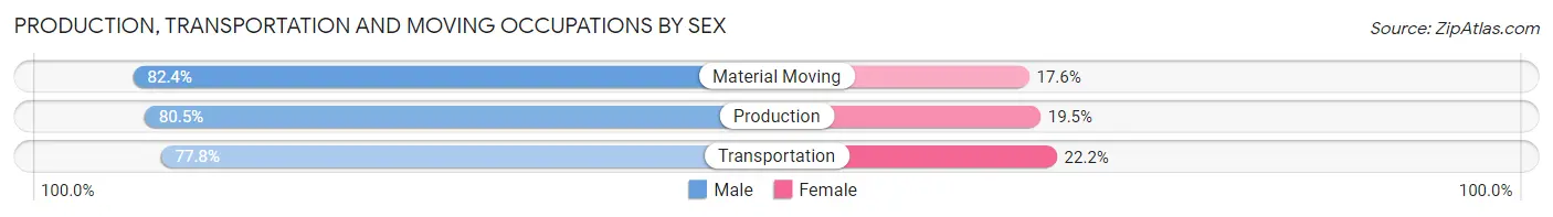 Production, Transportation and Moving Occupations by Sex in Zip Code 79934