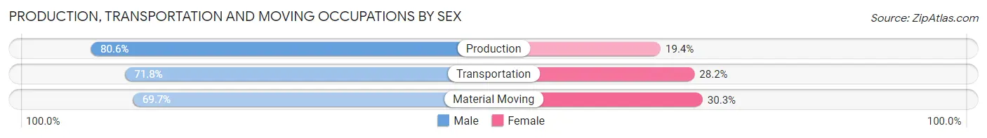Production, Transportation and Moving Occupations by Sex in Zip Code 80128