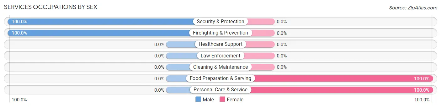 Services Occupations by Sex in Zip Code 80131